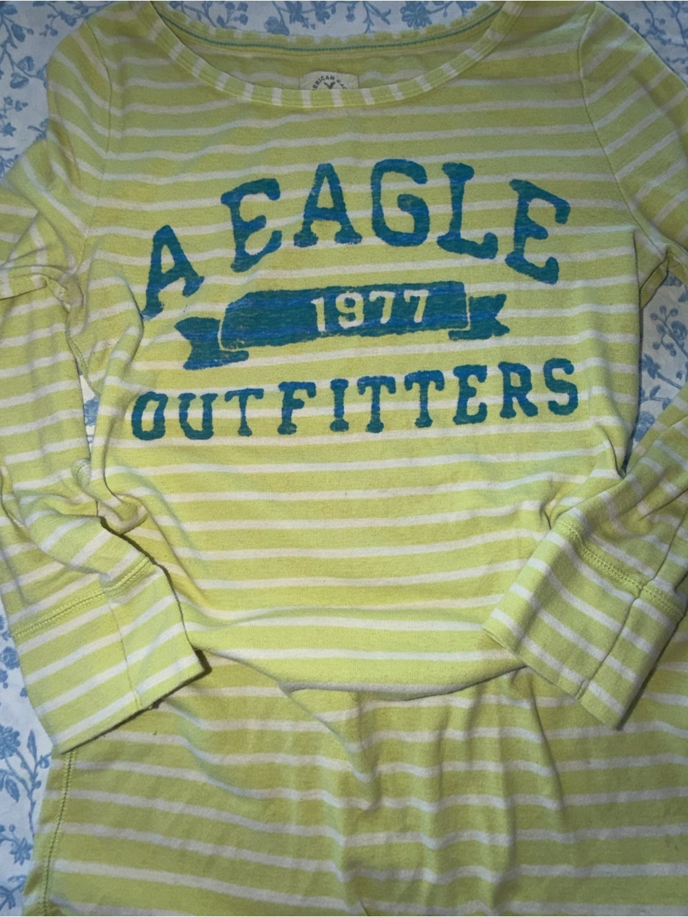 American Eagle Outfitters Lime and White Striped Long Sleeve Tee with Teal Logo